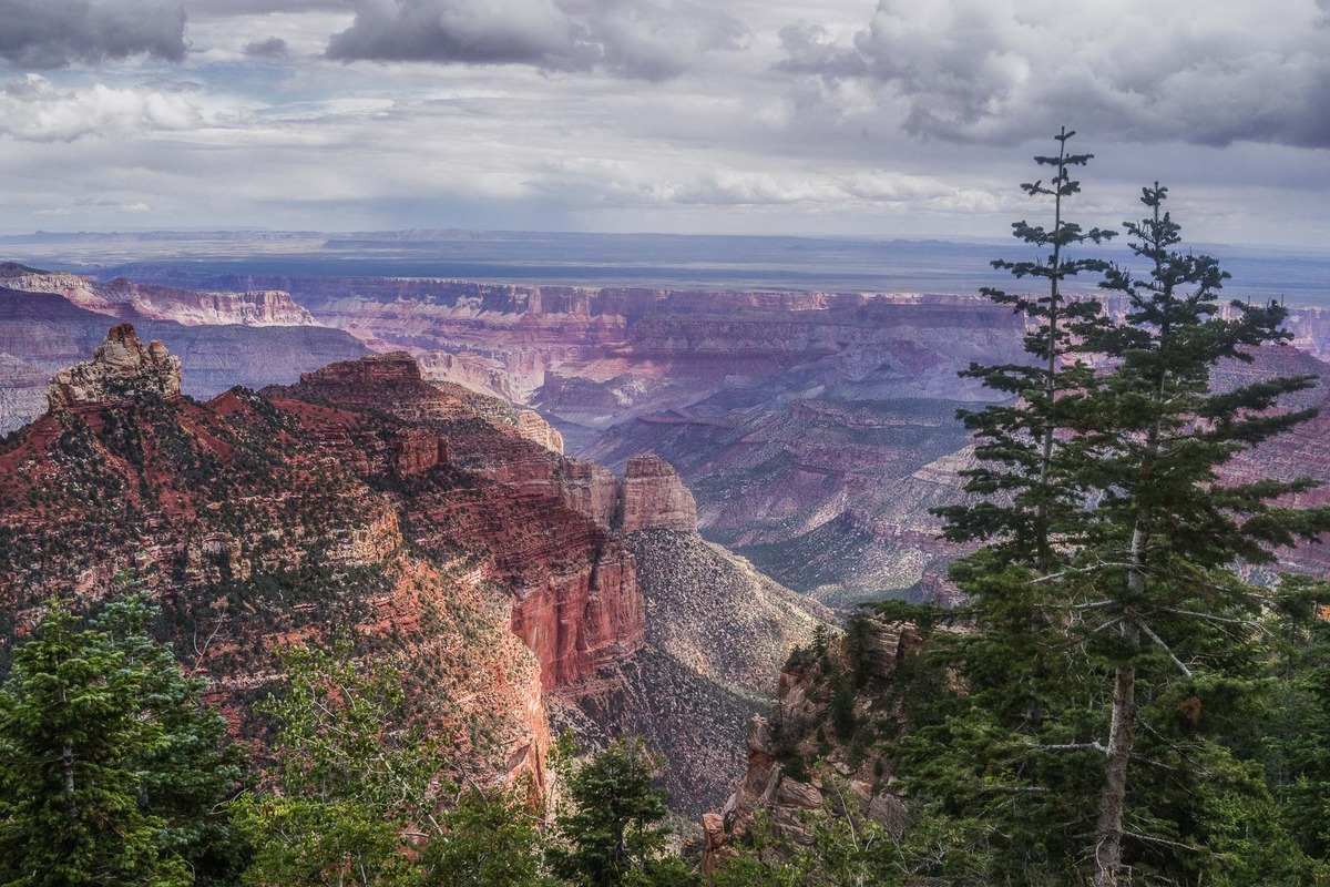 North Rim Pastoral