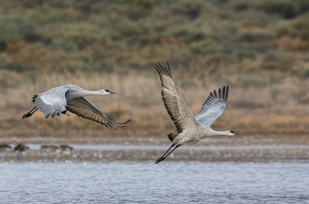 Two for Take-off