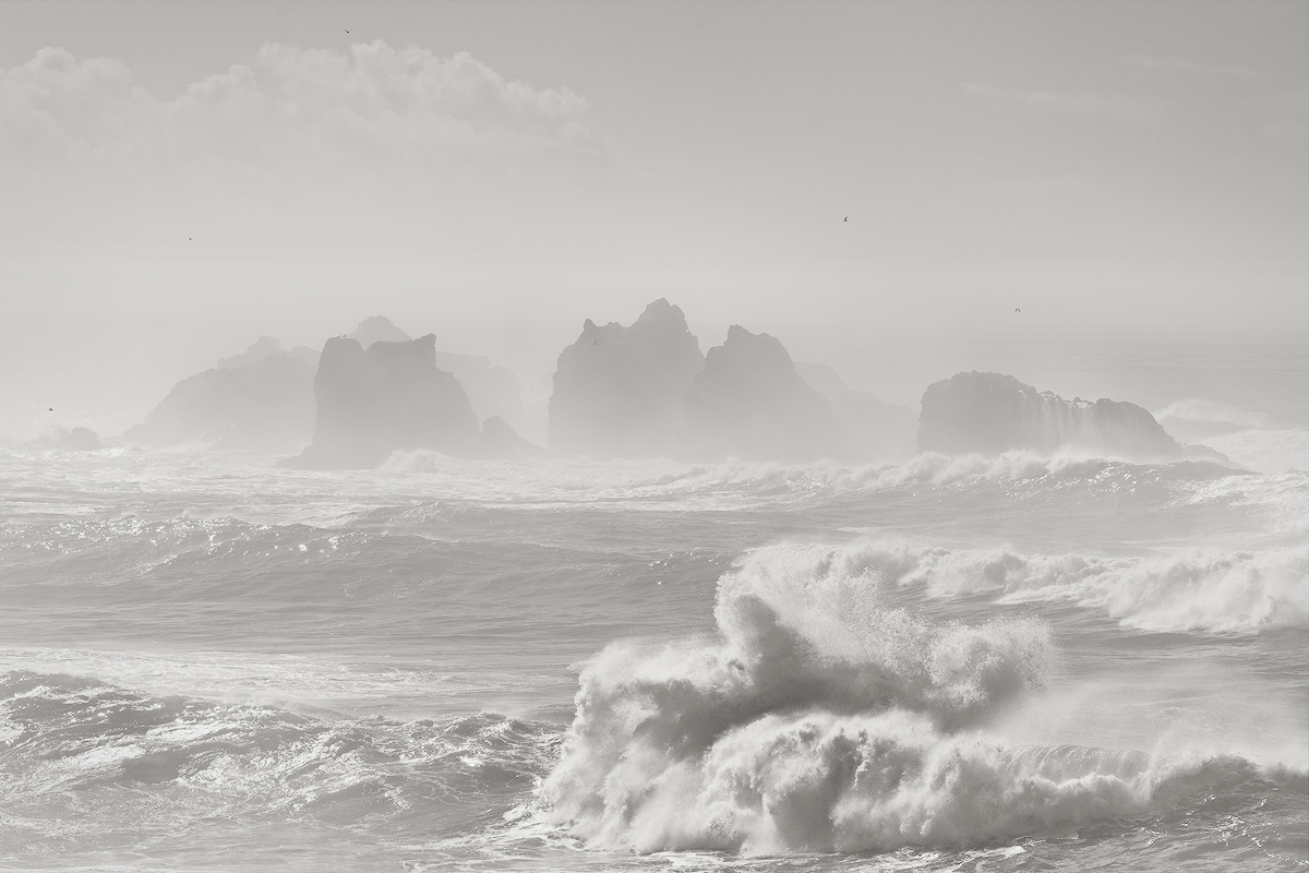 Sunny Storm