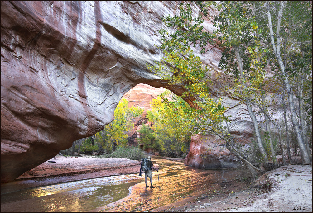 Escalante Wilderness 