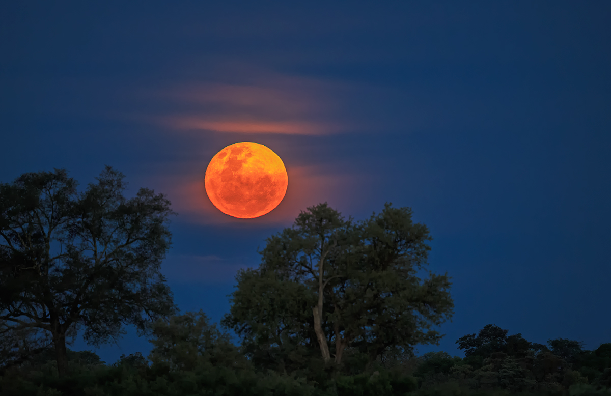 Moonrise