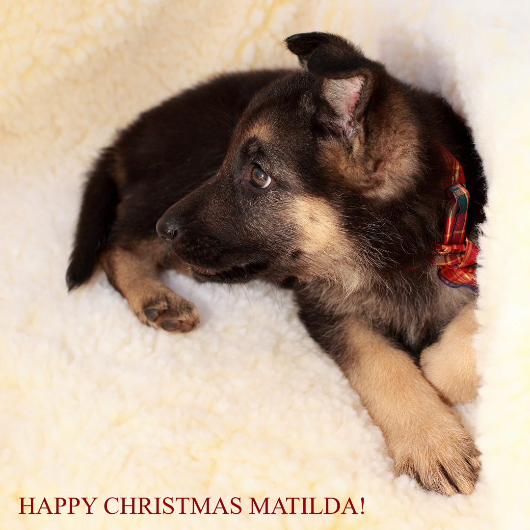 Happy Christmas Mattie!