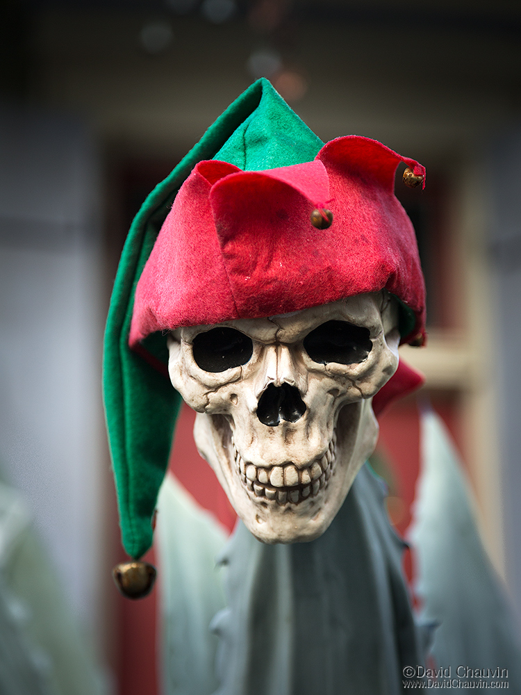 Bywater Elf