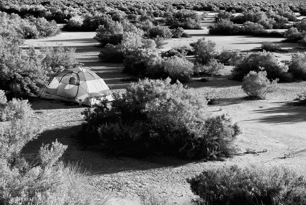 Alvord Camp