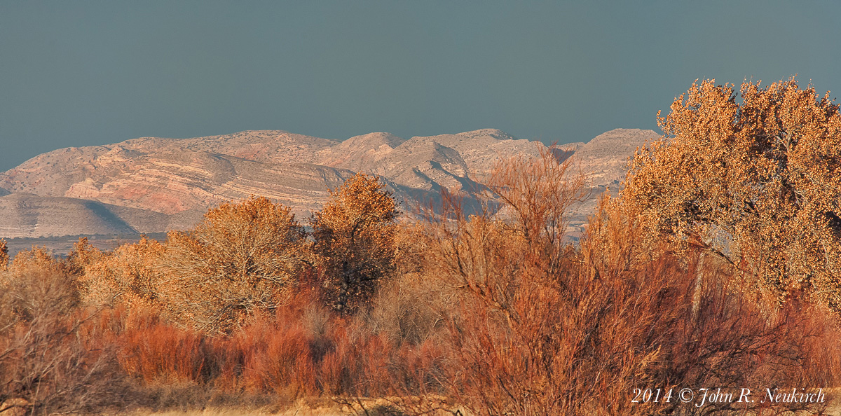 Winter evening at Bosque