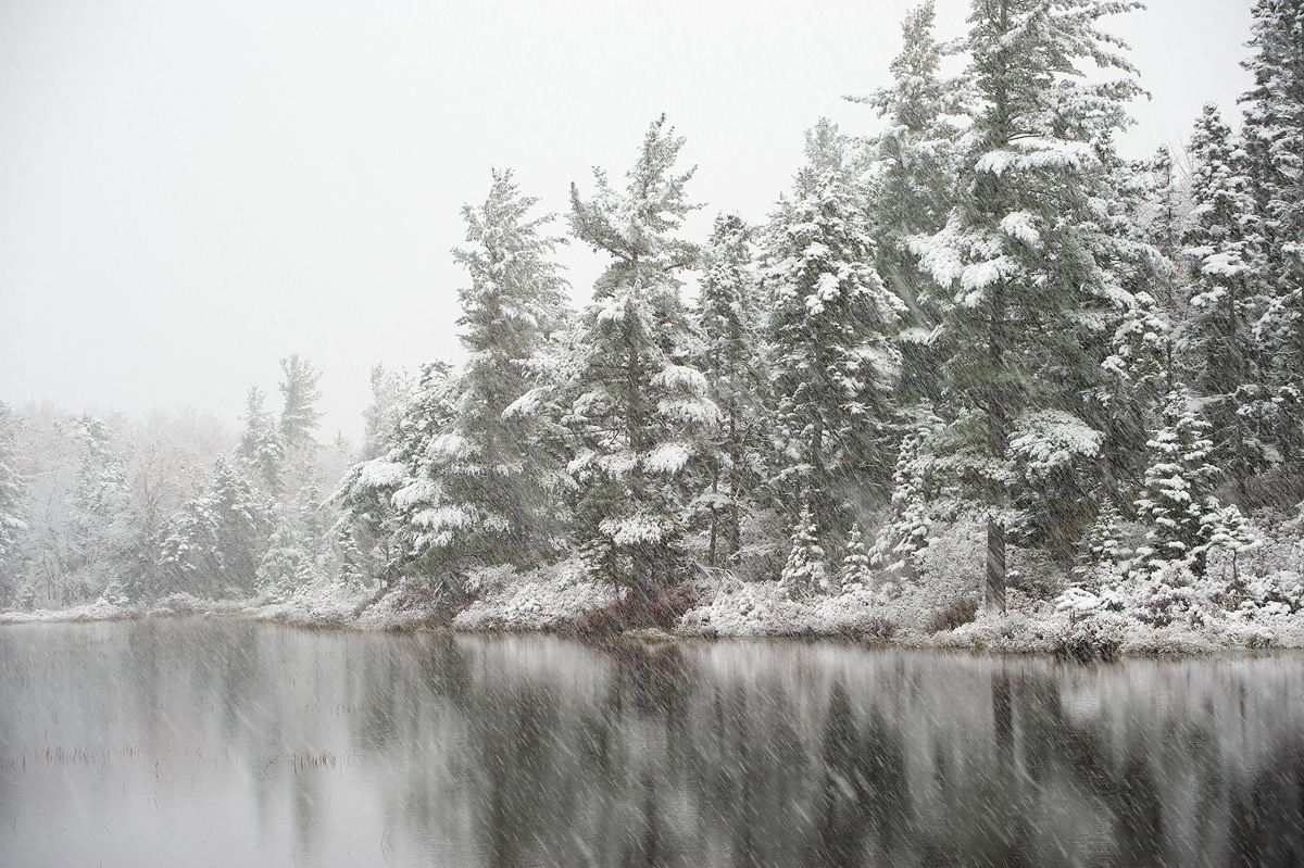 Autumn Snowfall + repost