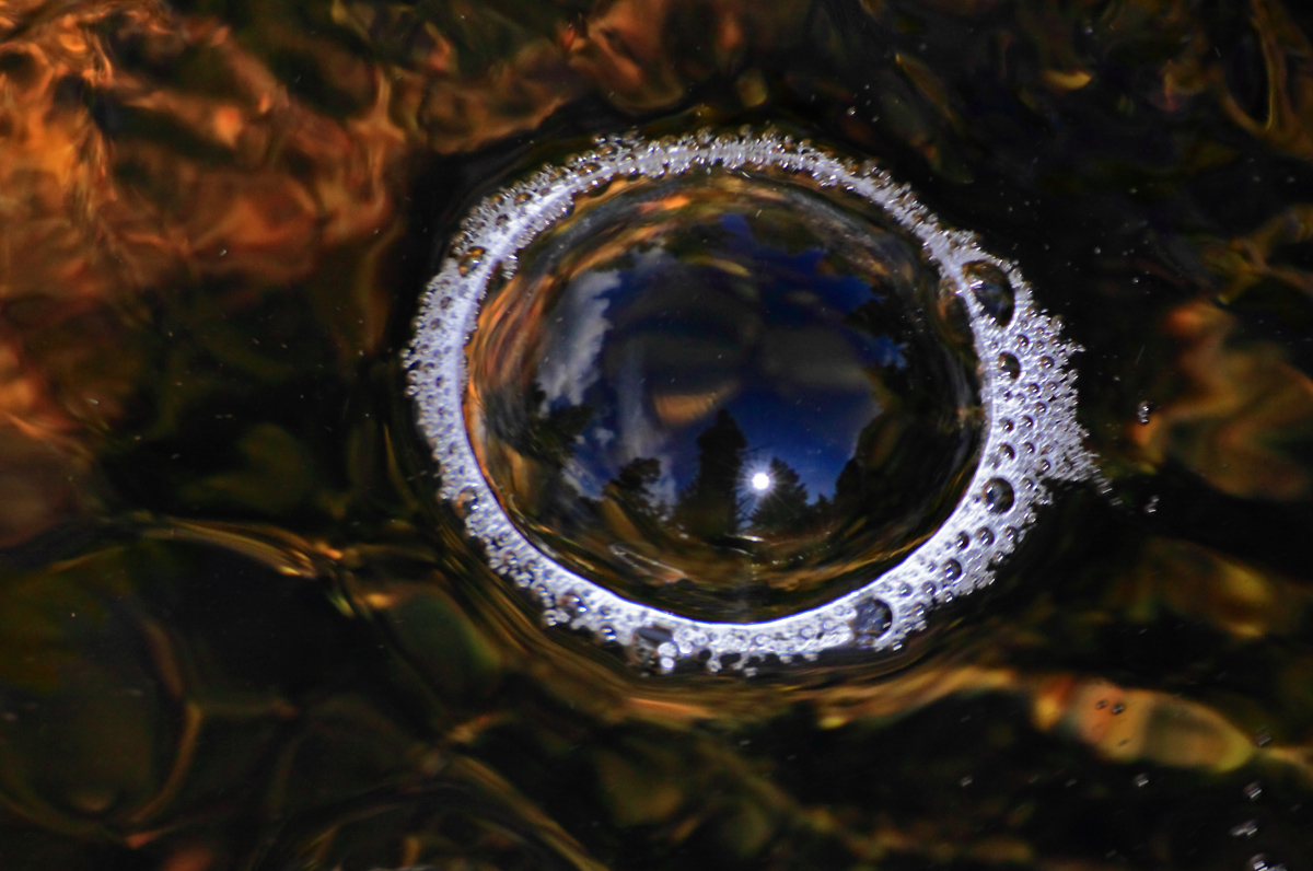 A Time to Reflect