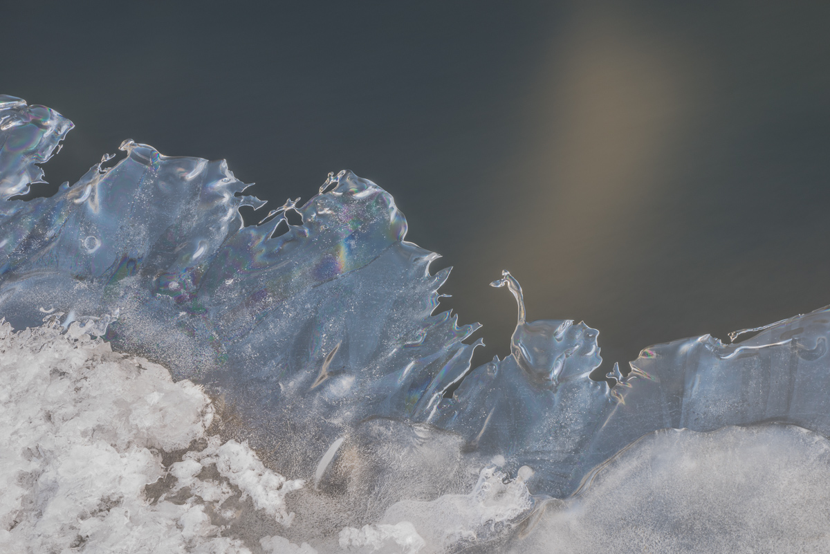 Ice Swan Flats