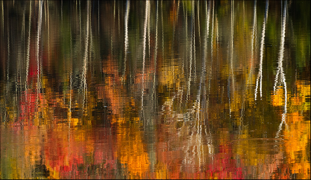 Reflections of + Flipped