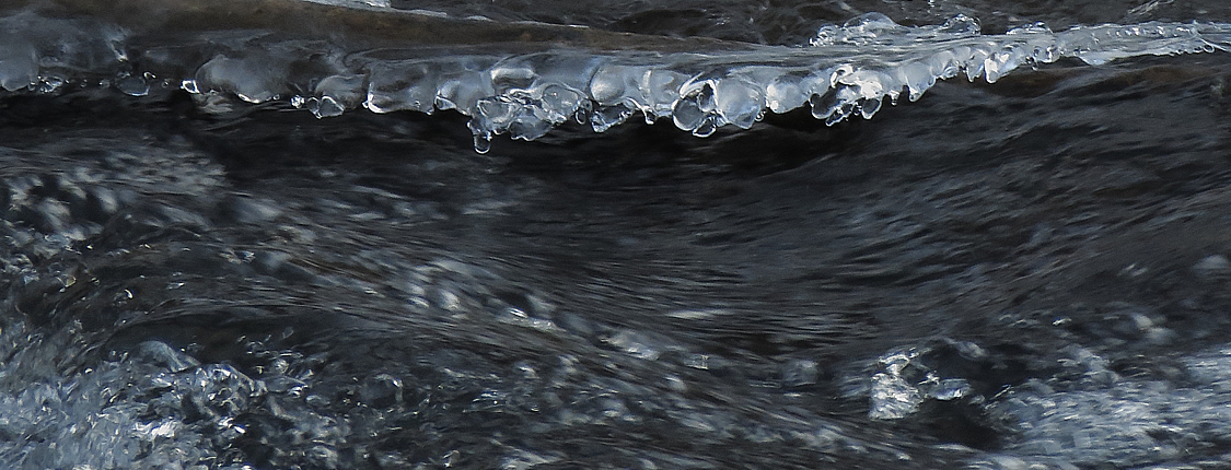 Ice and water WC667