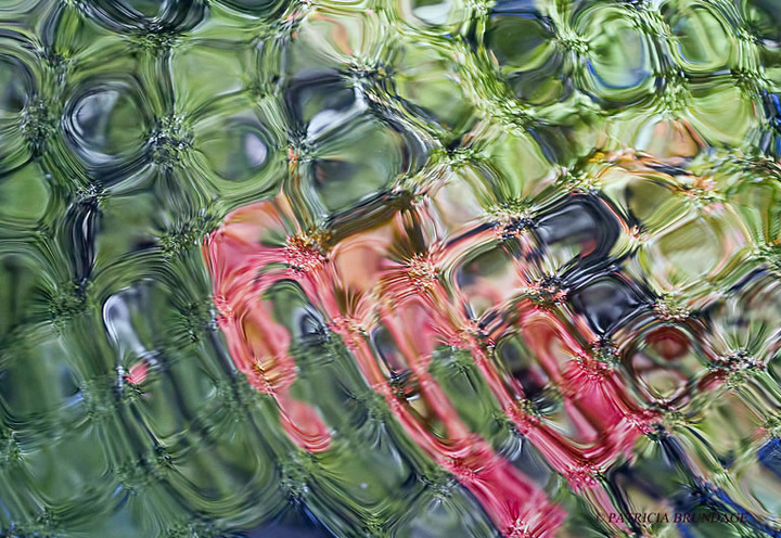 Ripples #1