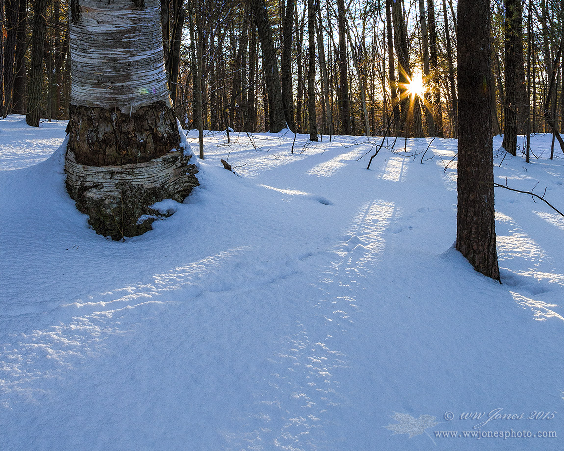 Winterstar