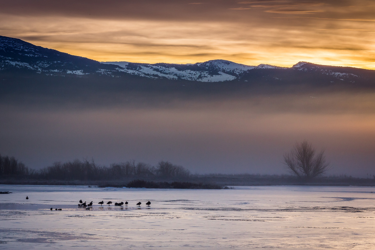 Winter Sunrise Special