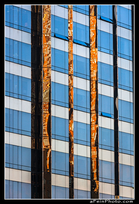 Untitled NYC
