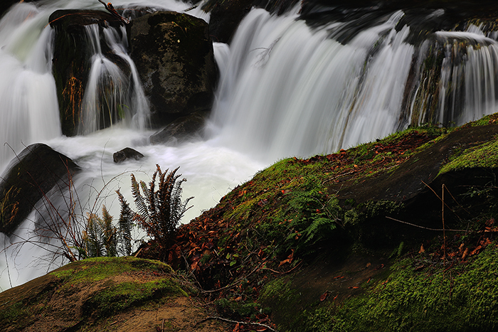 Cascade, Whatcom Falls