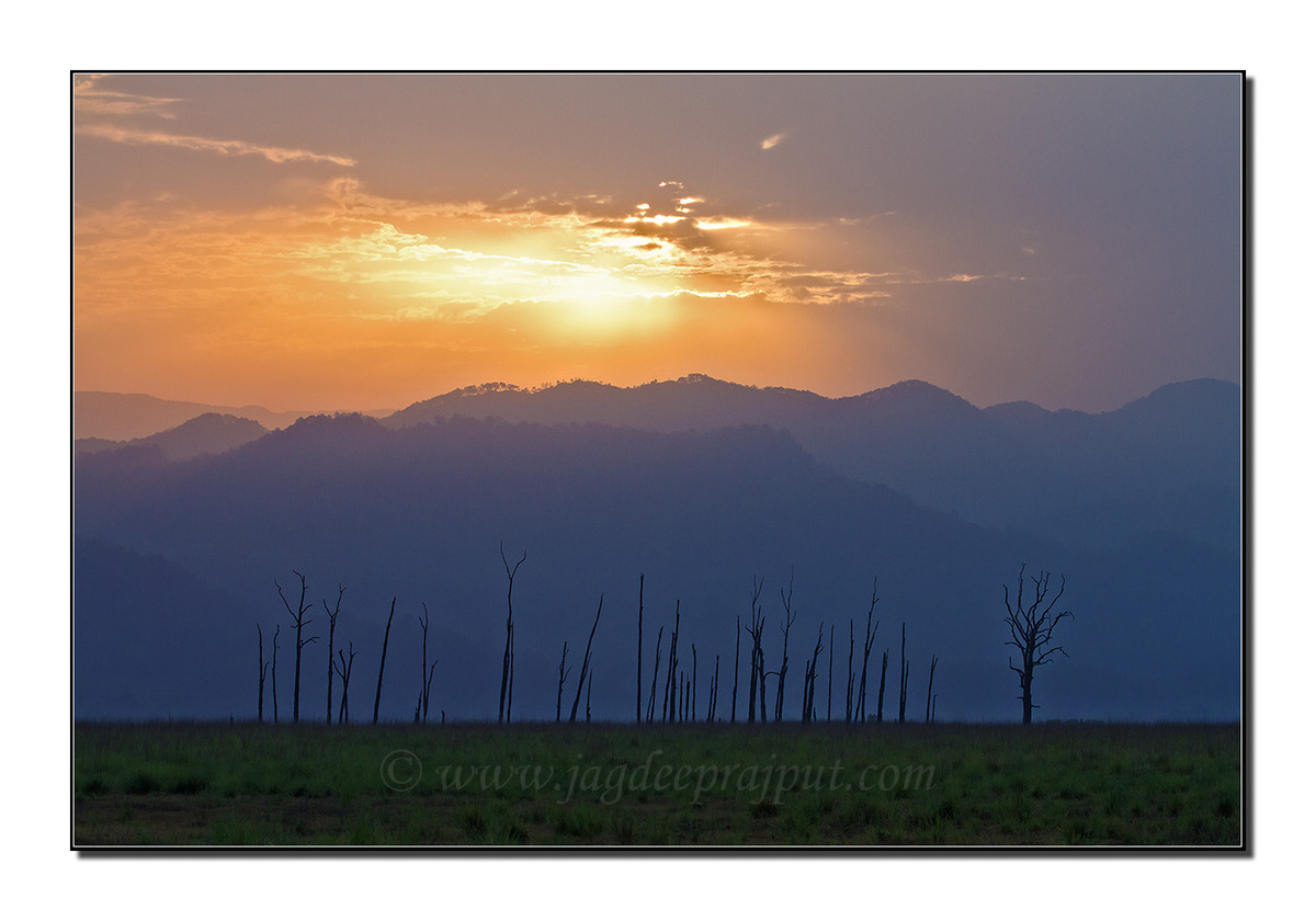 Corbett National Park