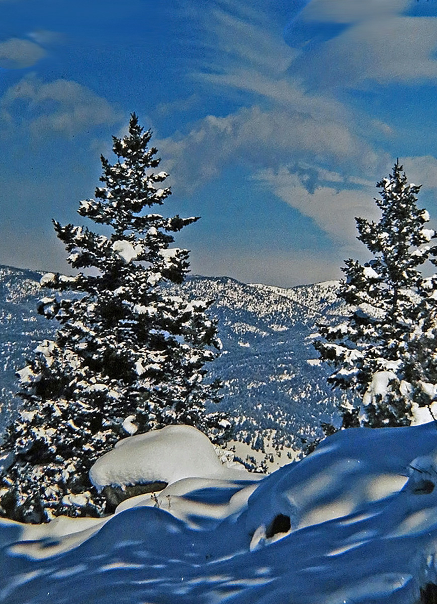 Winter on Flagstaff 669