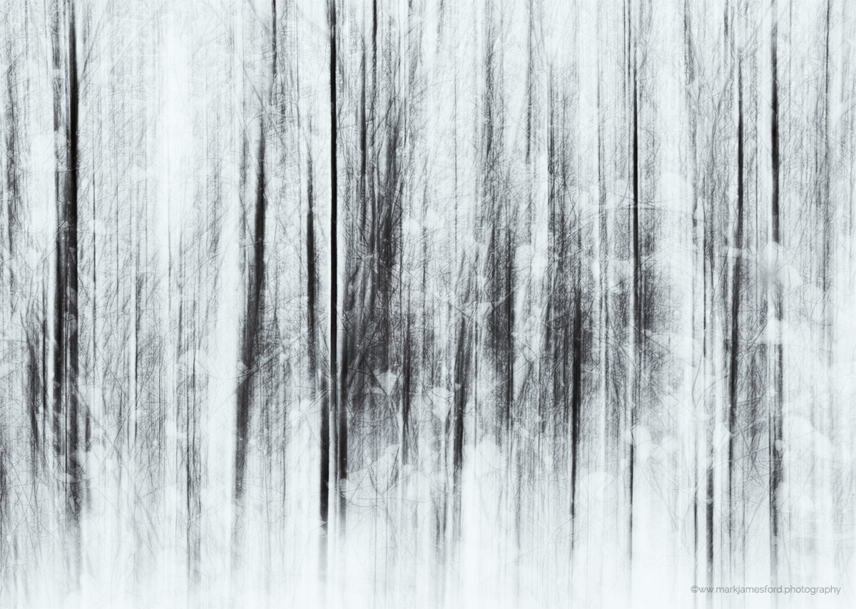 Essence of Winter