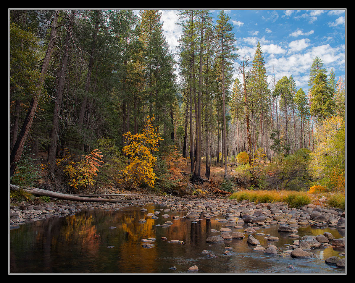 Autumn Afternoon