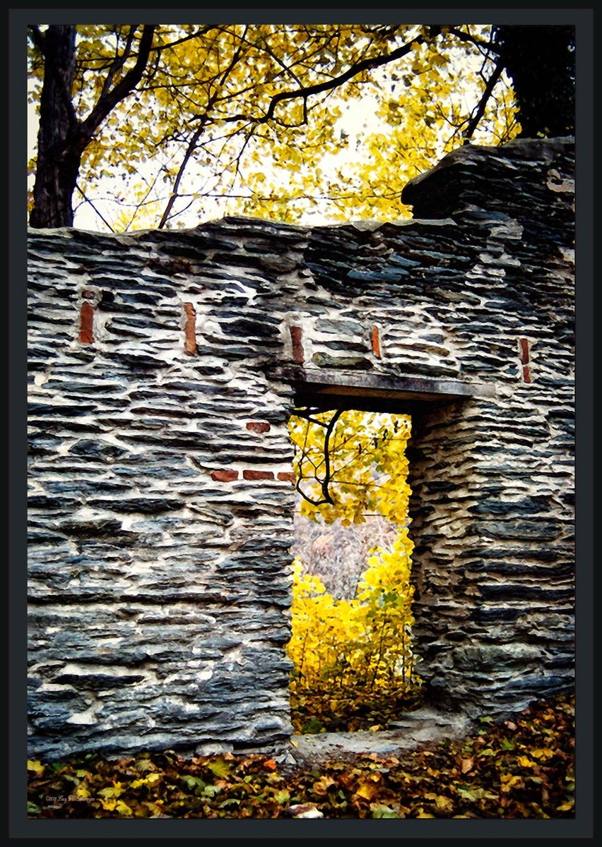 Enchanted Doorway