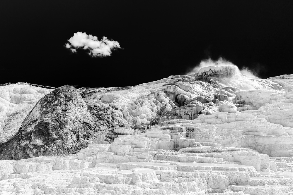 Alien World