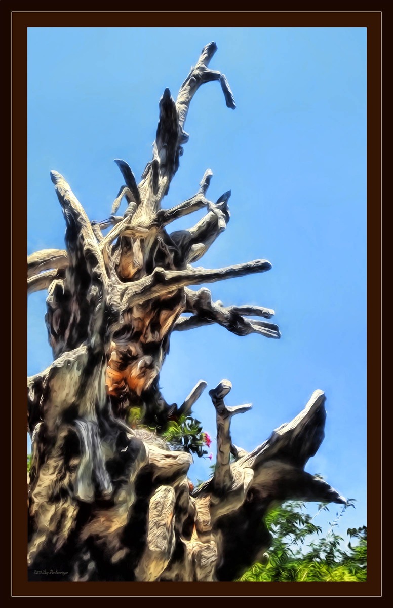 Magic Tree