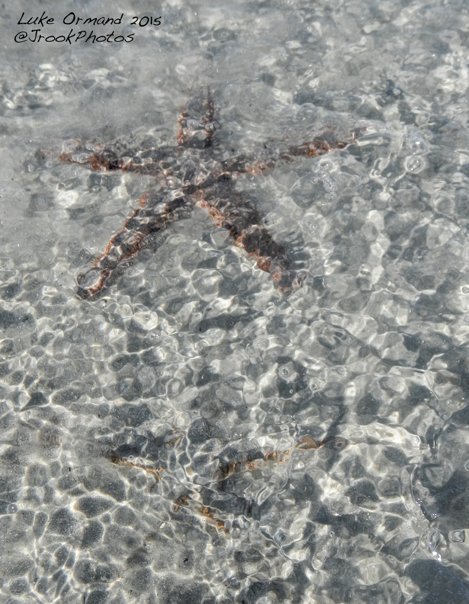 Beneath the Surface