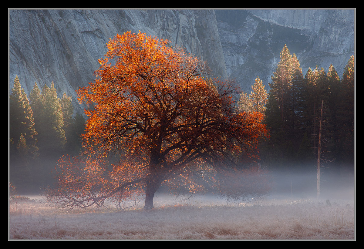 Autumn Spice II