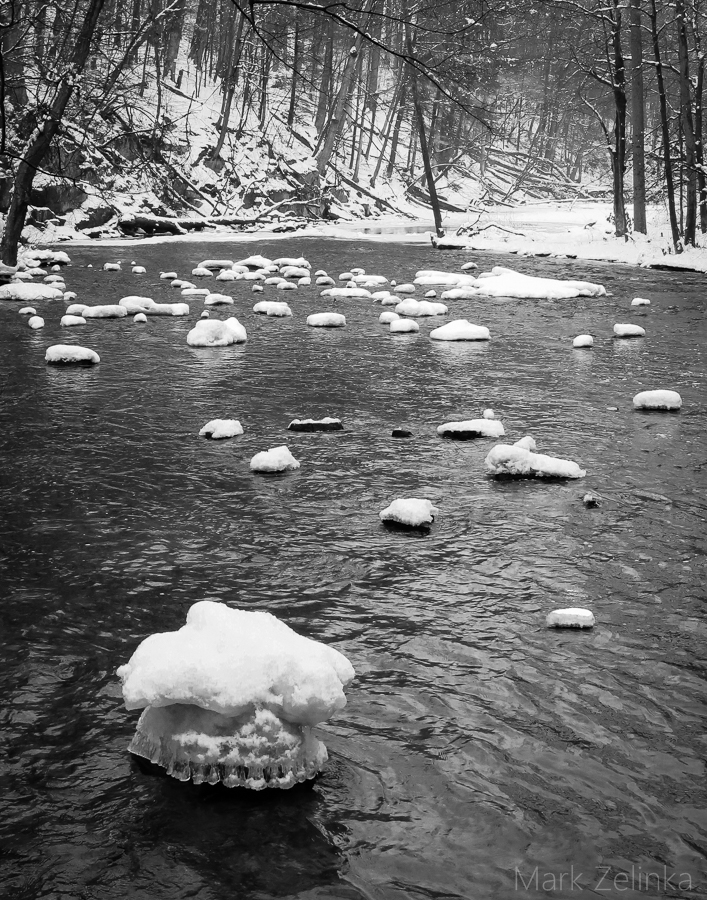 Ice Jellyfish