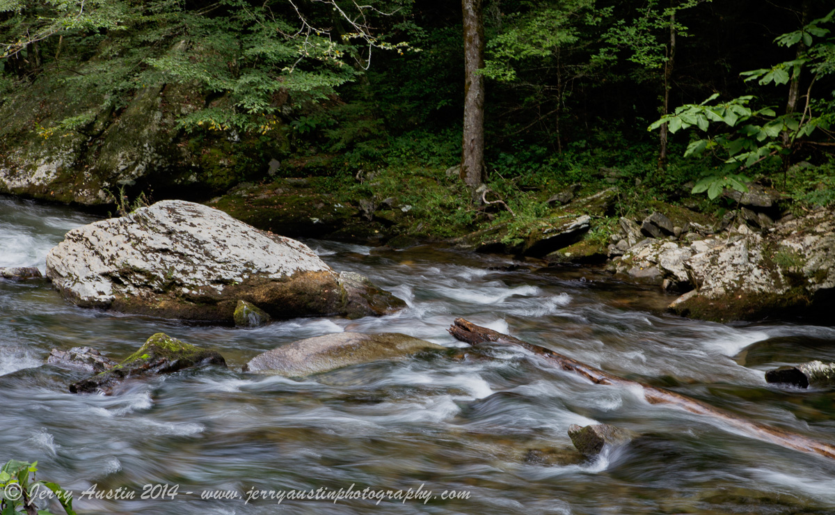 Smoky Mountain Stream