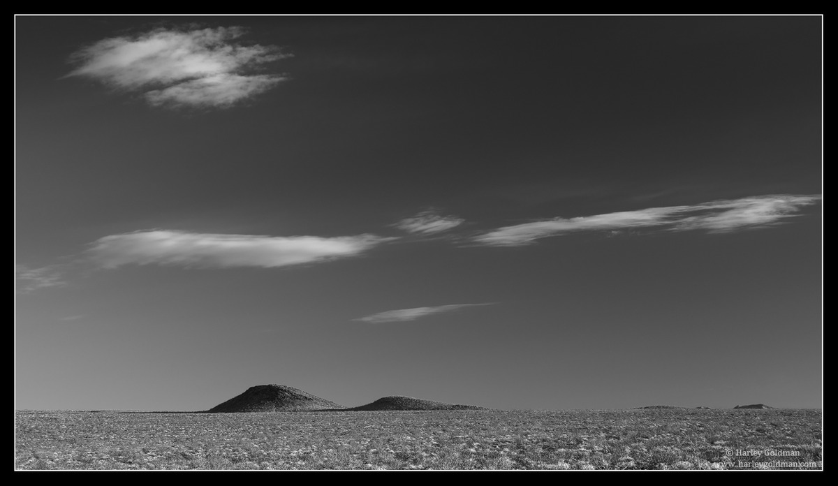 Desert Drifters
