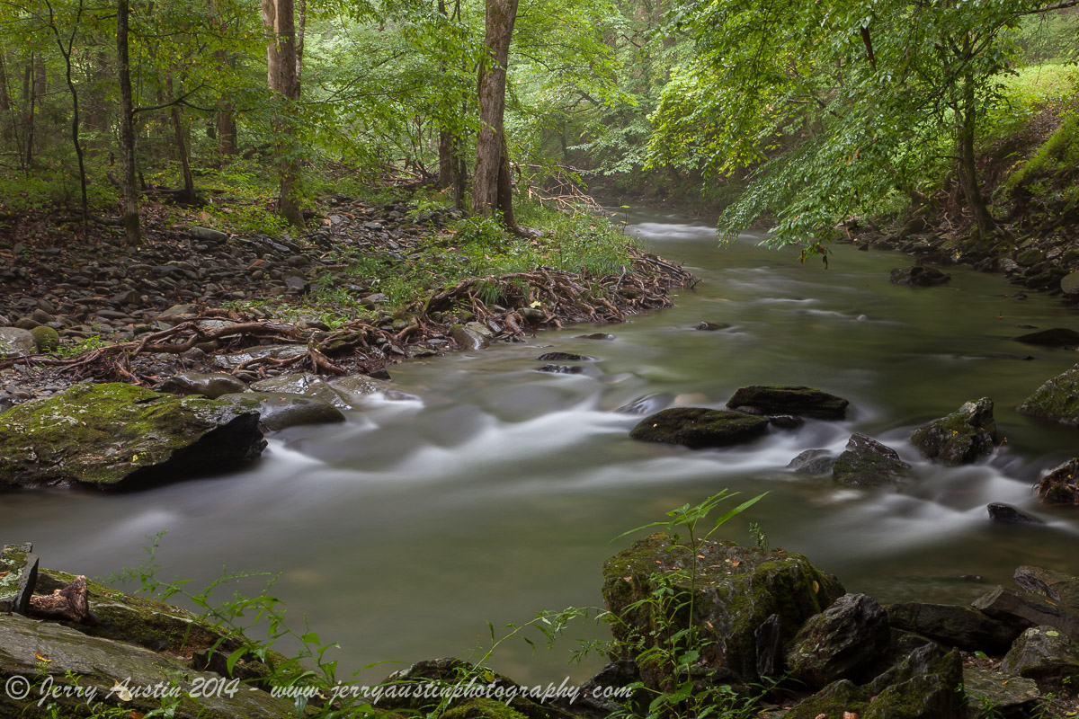 Smoky Mountain Stream 2
