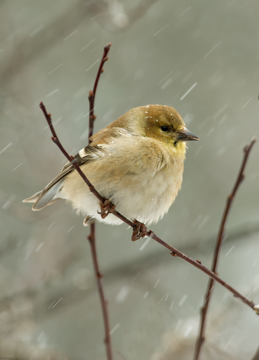 Waiting out the Storm