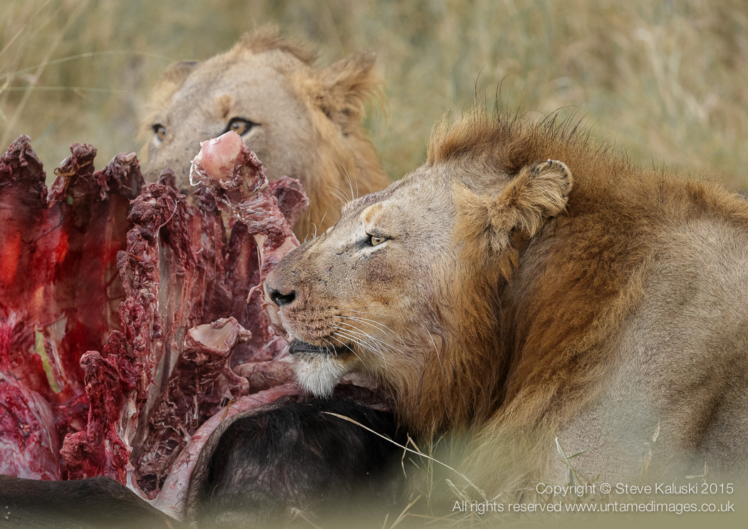 Sharing - NOT an option