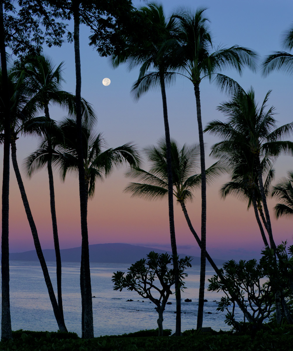 Maui Moonset