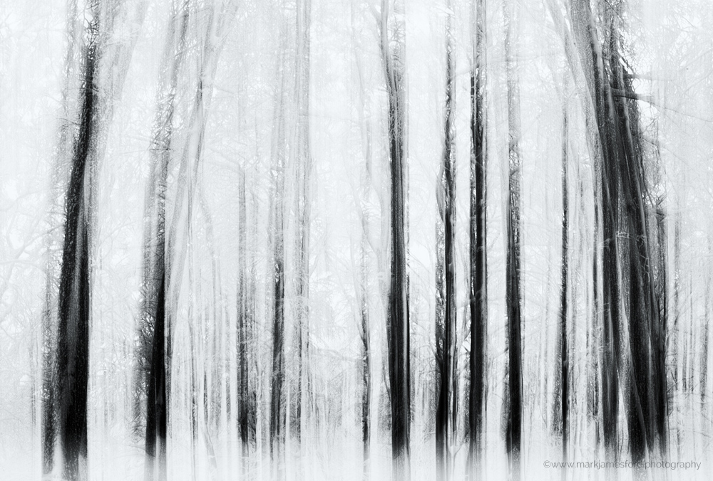 Essence of Winter_II