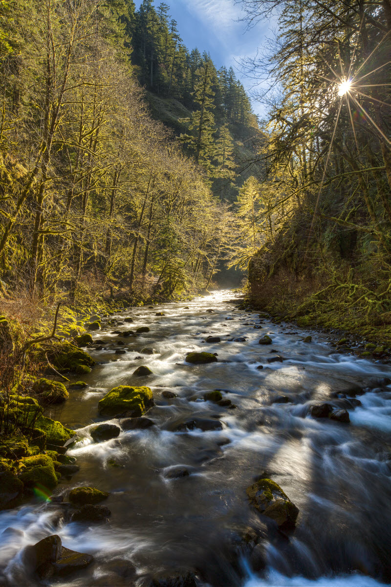 Moffett Creek