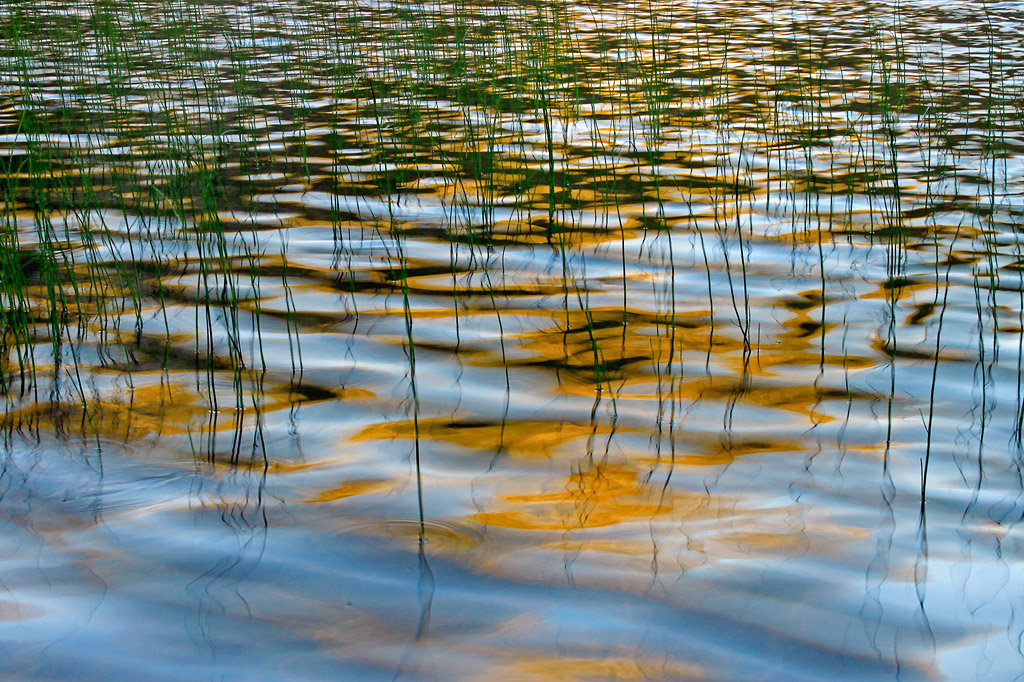 Grass/Water, Blue/Yellow