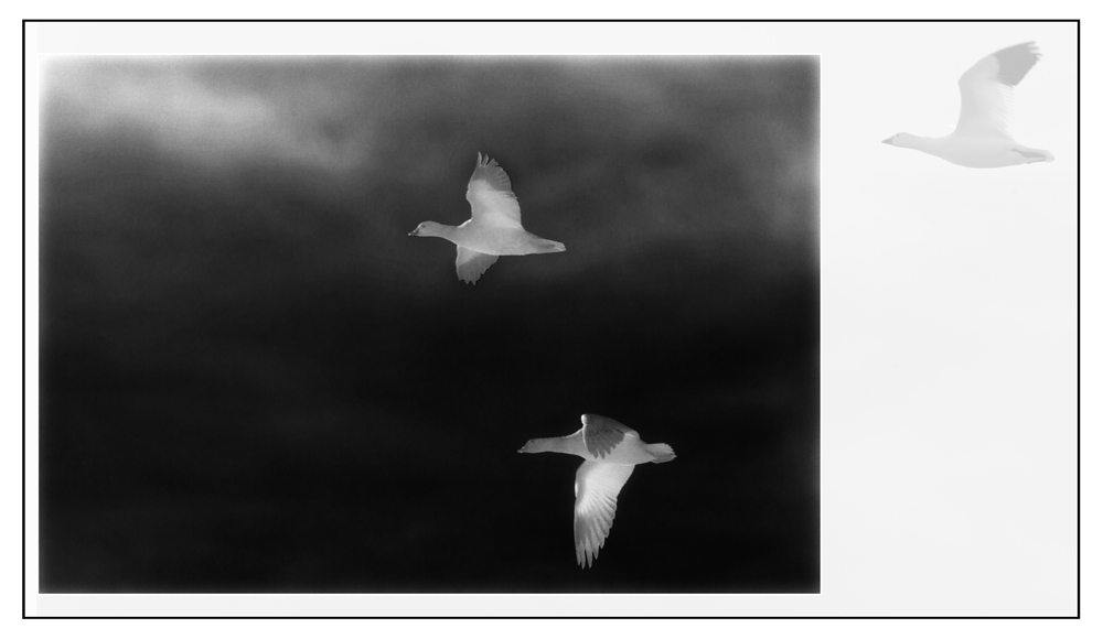 Flying into the Unknown
