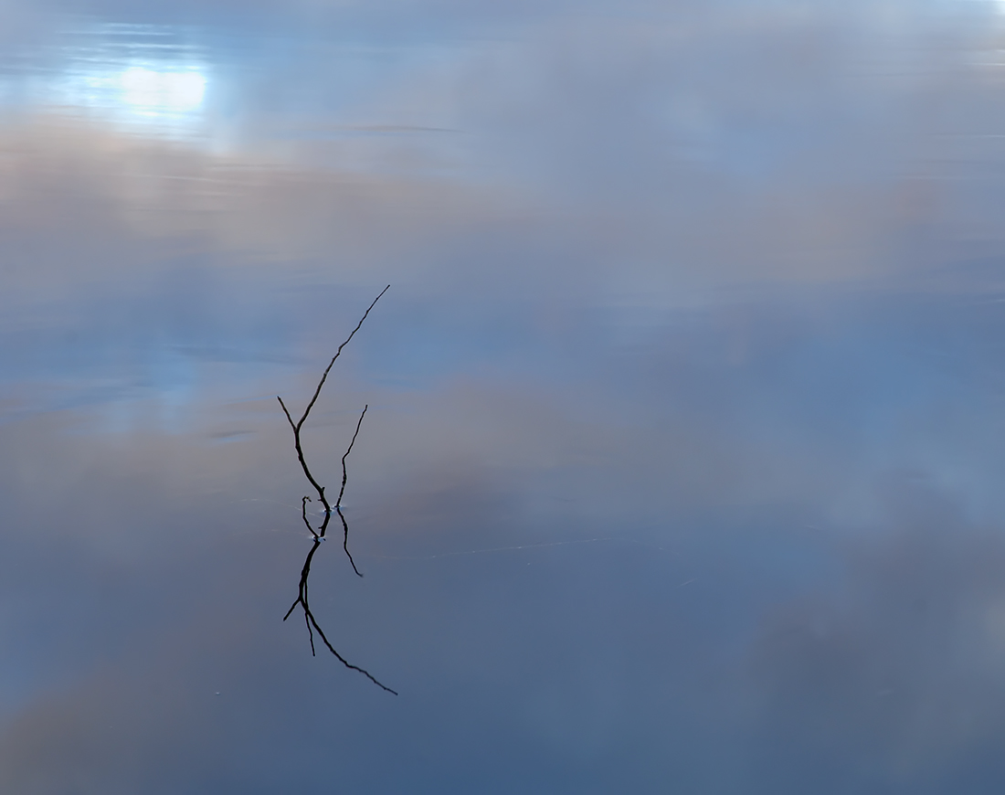 Reflections
