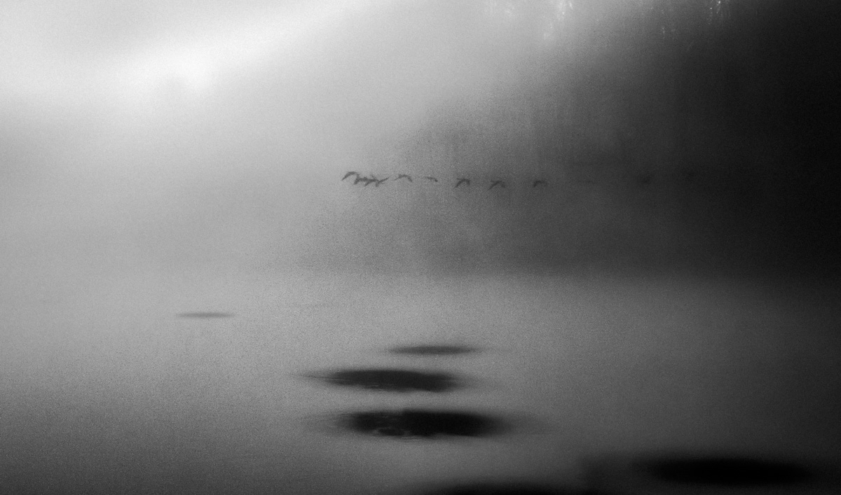 Ghost Flight