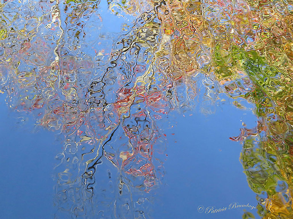 Ripples #5
