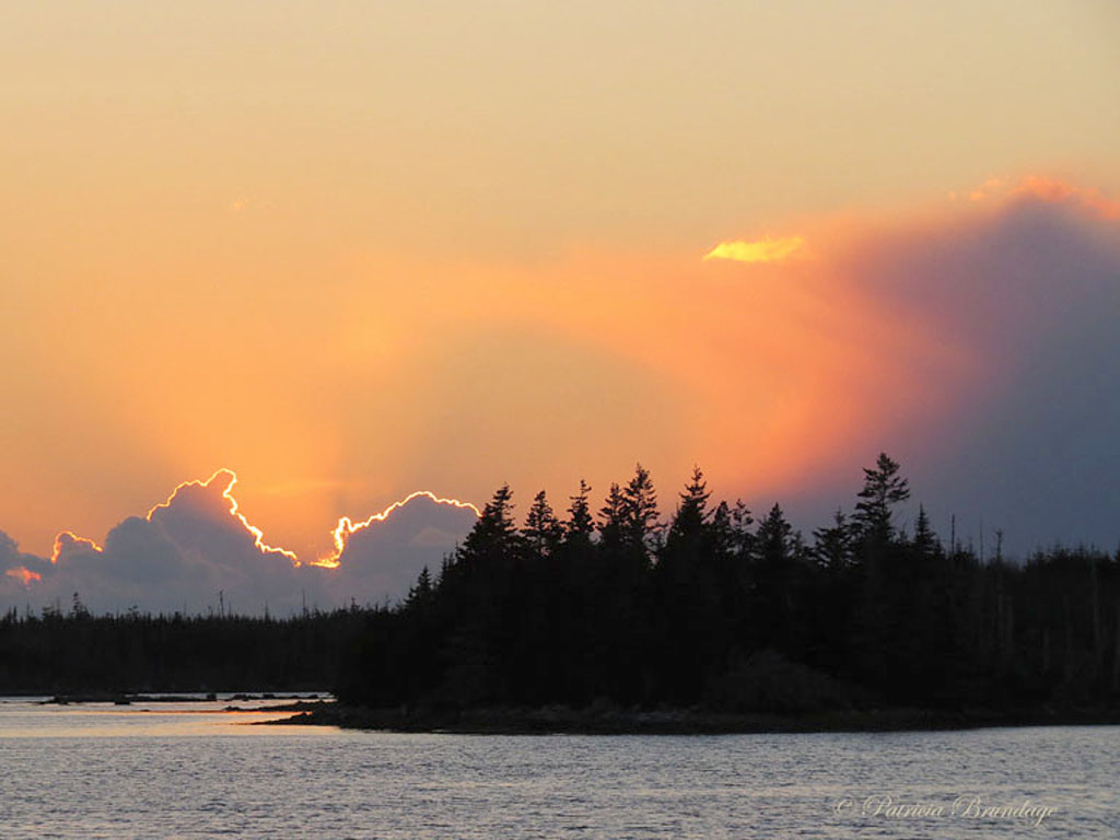 Silver Lining