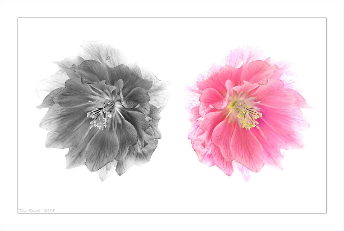 Left-Brain ….Right Brain
