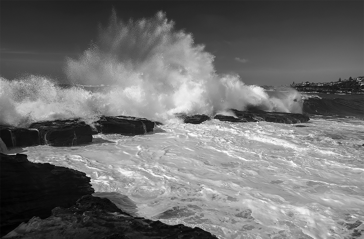 Surf's up!