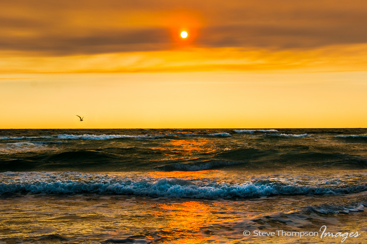 Golden Gulf