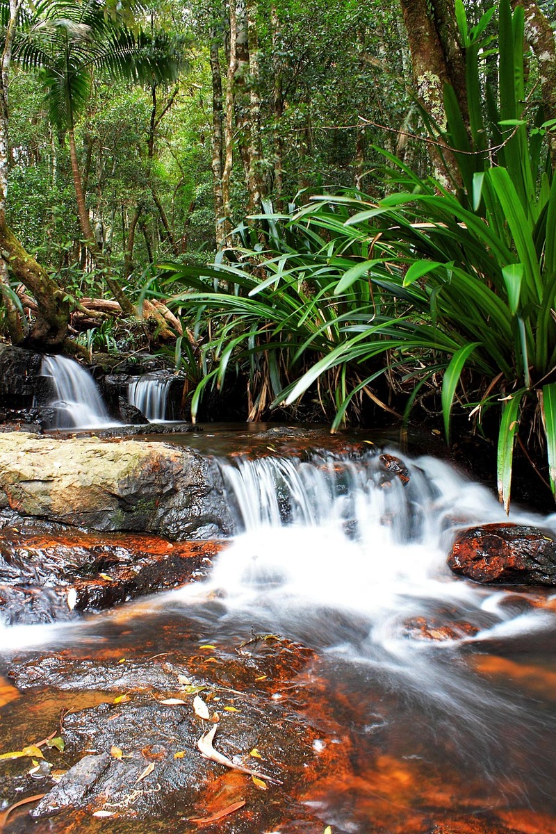 Stream Of Colors