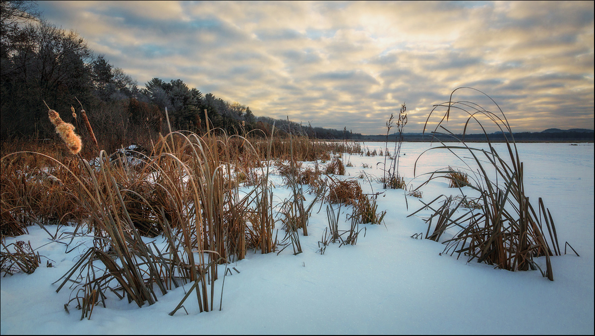 Bakken's Pond + rp.