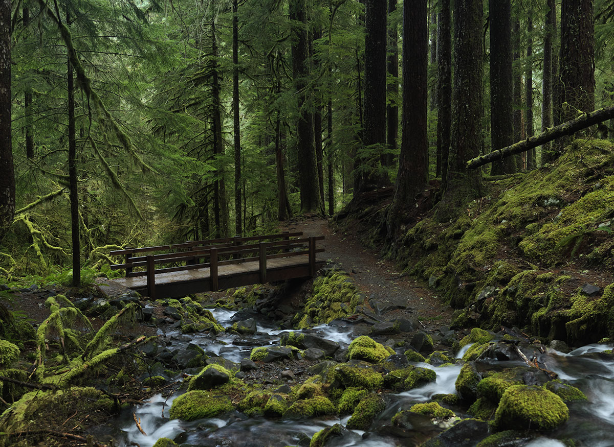 Creek n bridge Solduc
