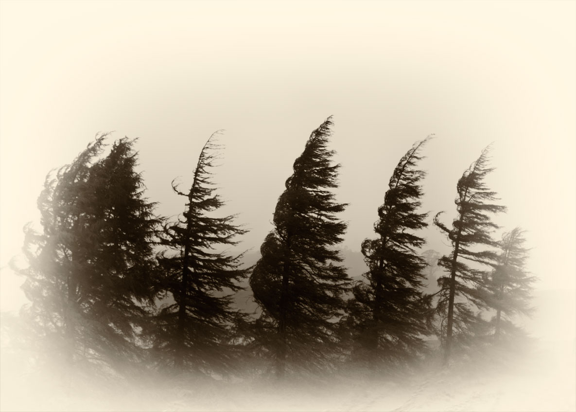 Wind